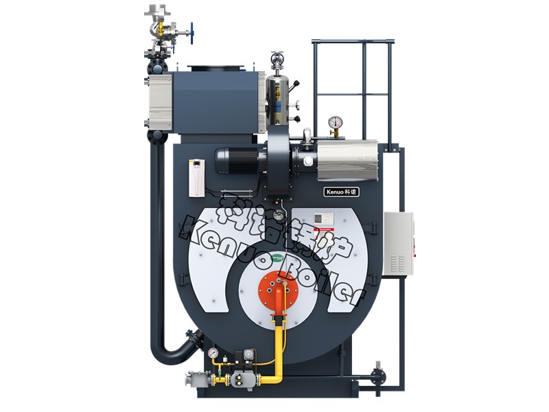 環(huán)保行業(yè)燃氣鍋爐的優(yōu)劣勢分析